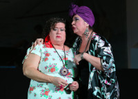 /album/fotogaleria-la-gallina3/18-jpg2/