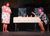 /album/fotogaleria-la-gallina1/10-jpg3/